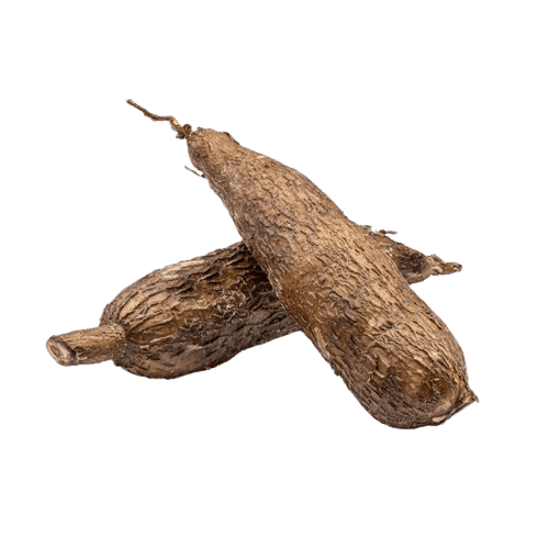 Cassava