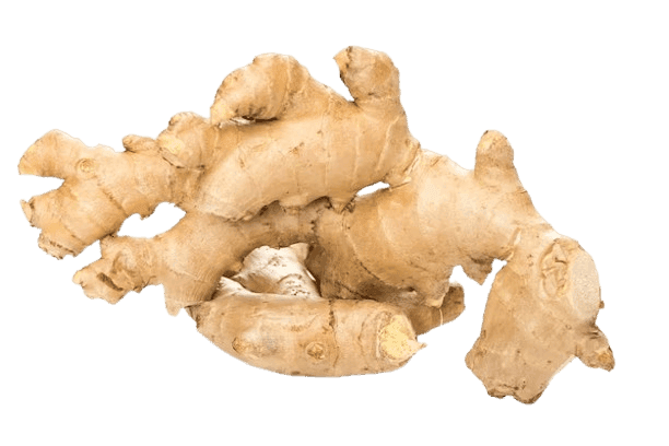 Ginger